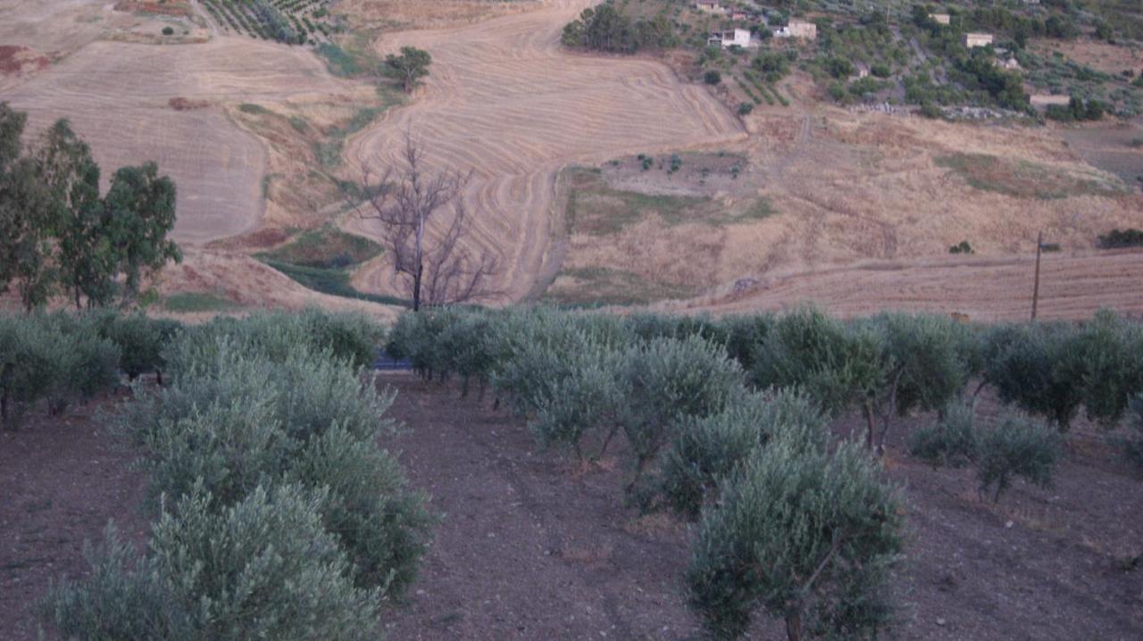 B&B Eyexei Domus Agrigento Exteriör bild